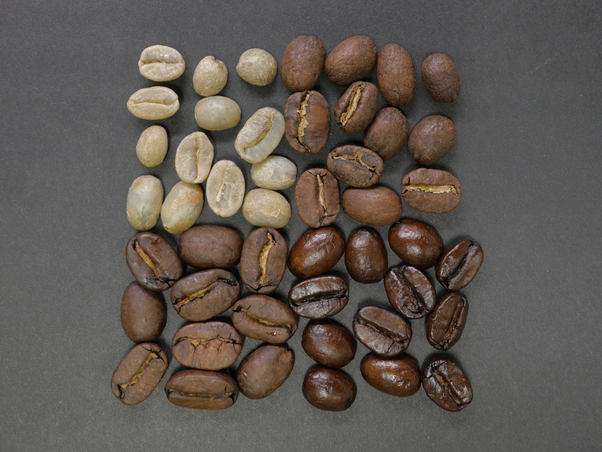 A Beginner's Guide to Brew Delicious Coffee with Capsules