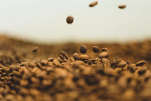 Maximizing Flavor with Coffee Capsules: Techniques and Insights