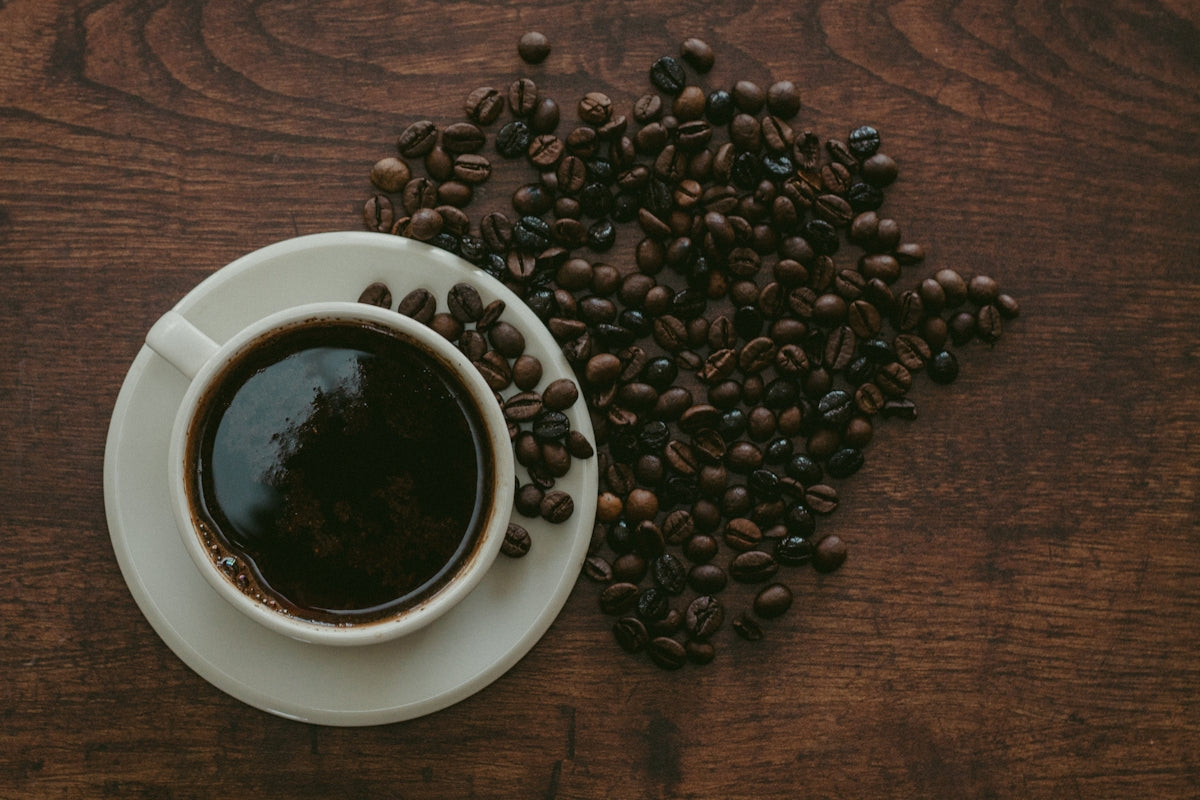 Comparative Review of Coffee Supplier Options in UAE