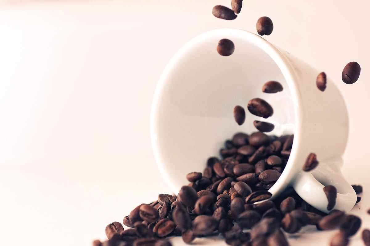 Exploring Coffee Caribbean Culture and Machine Traditions