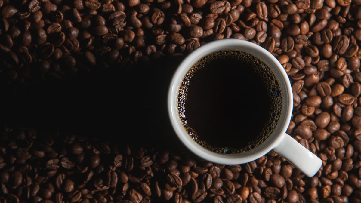 Choosing the Ideal Coffee Supplier in UAE for Fresh Quality Brew