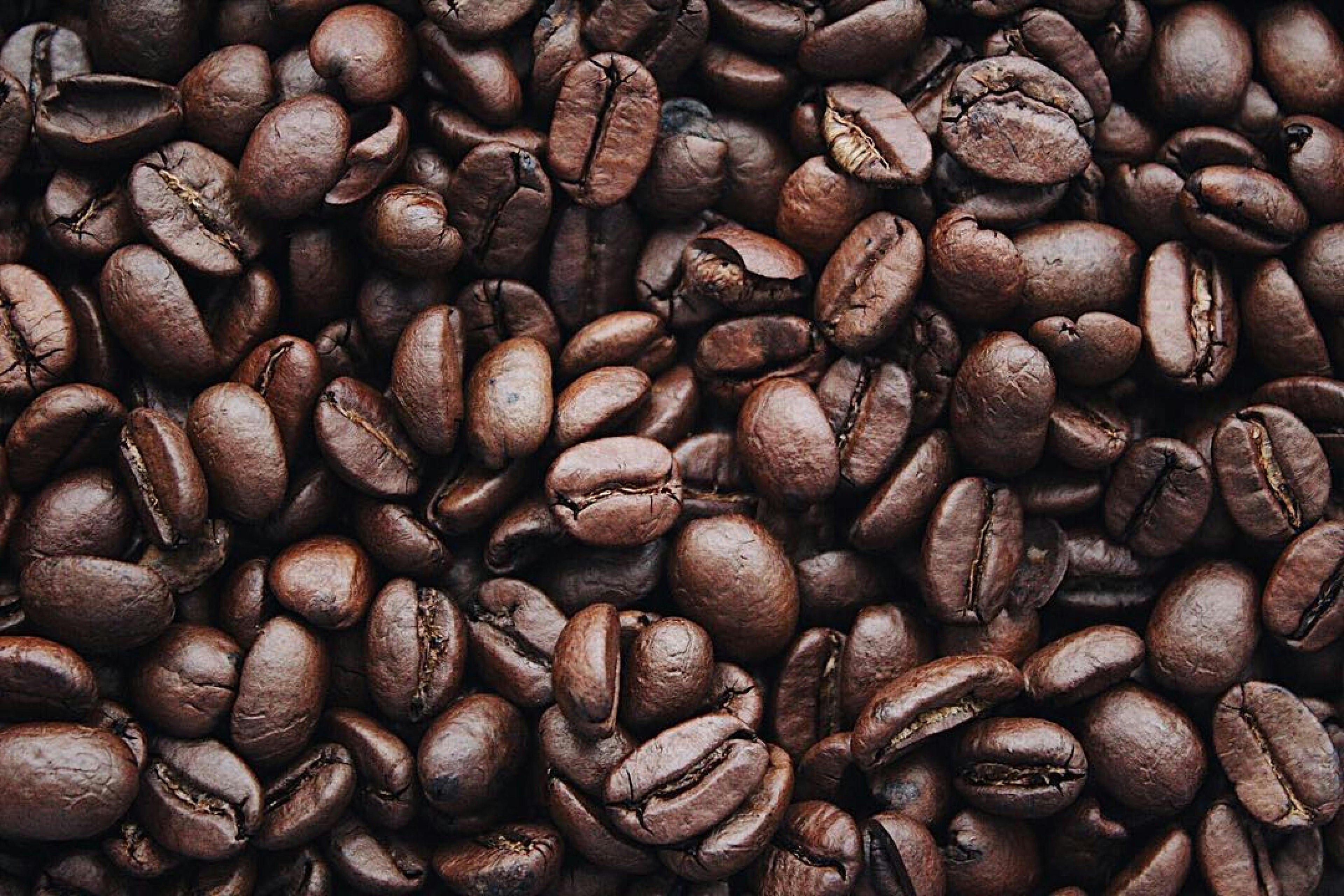 Coffee beans offers