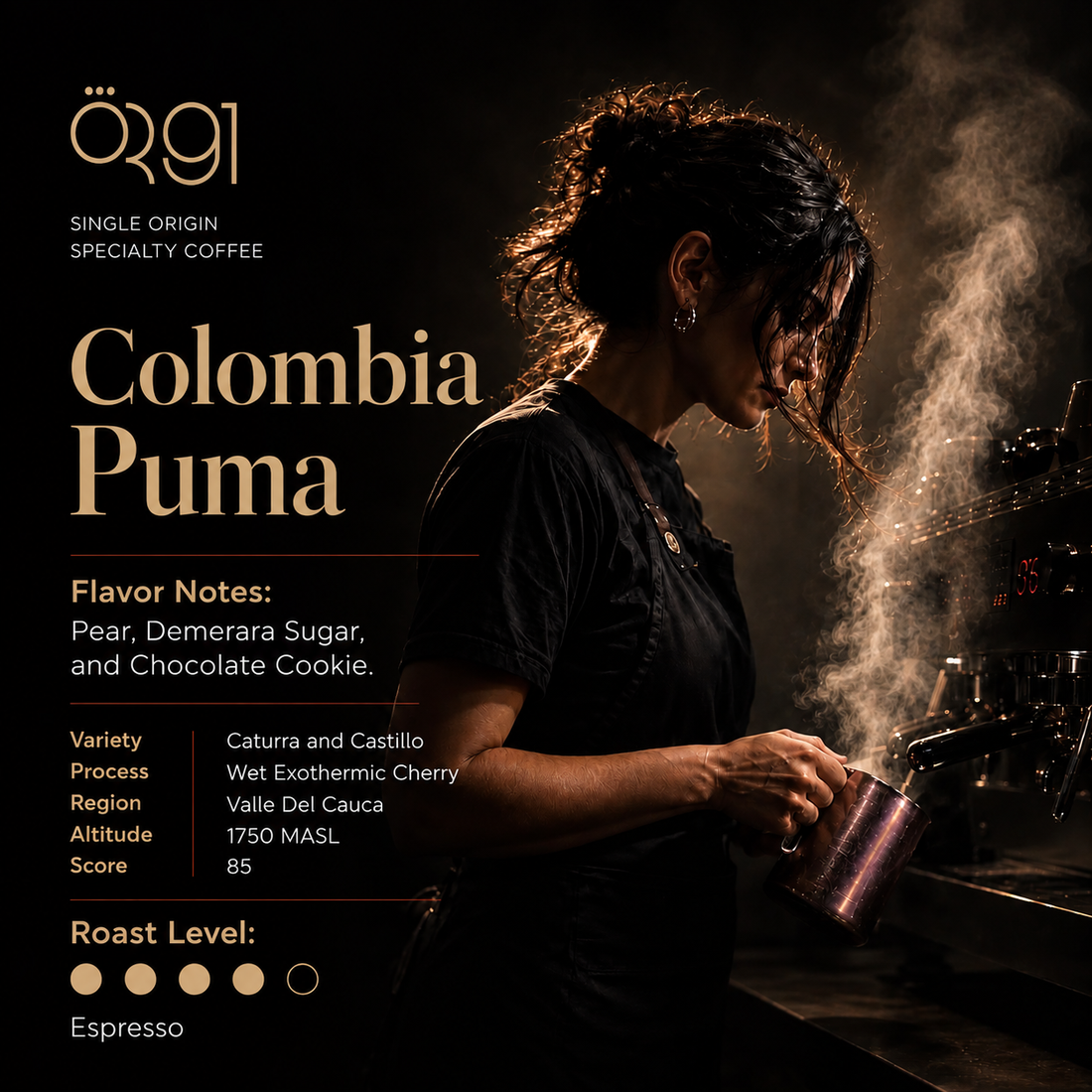 OR91 Colombia Puma Specialty Coffee Beans, Espresso & Filter