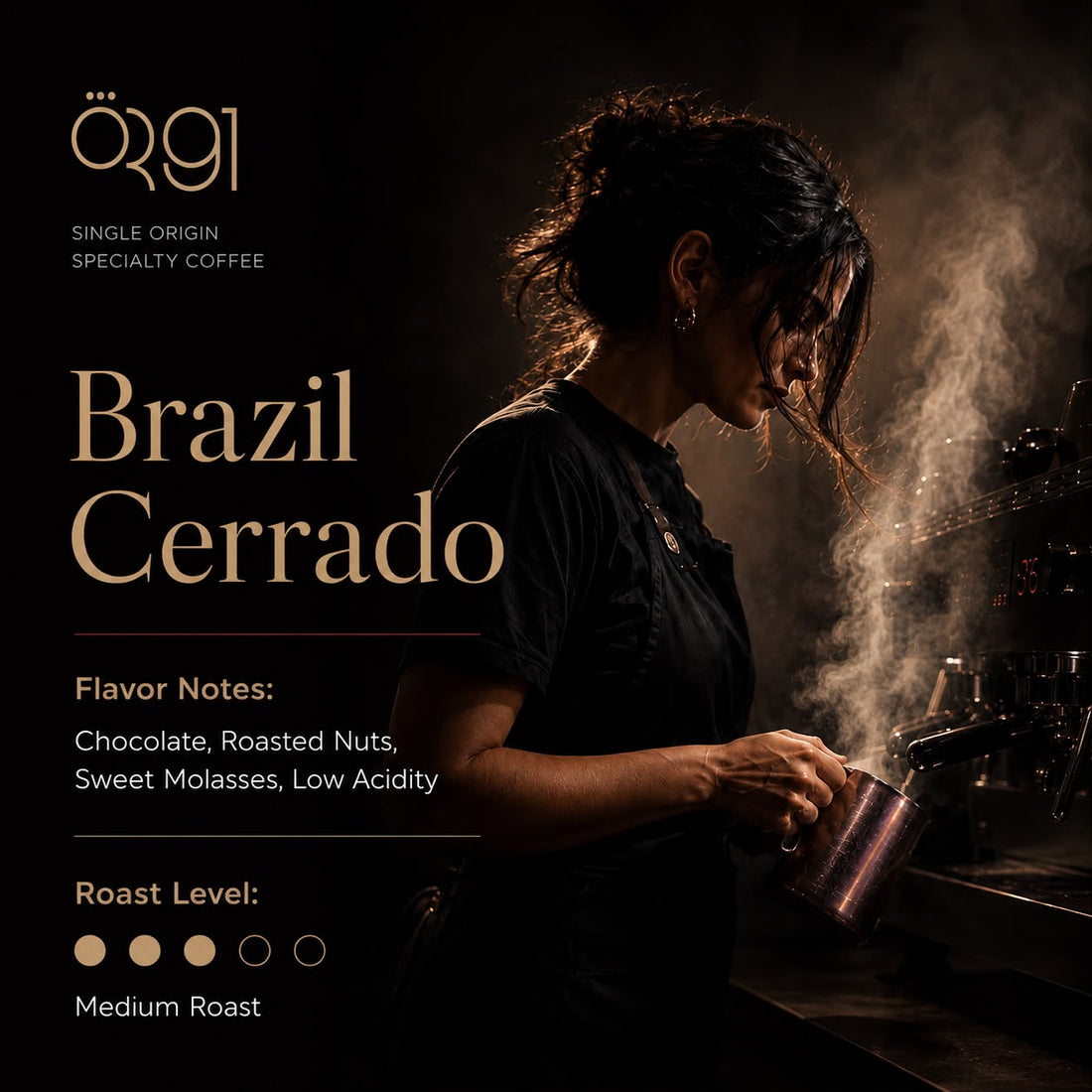OR91 Brazil Cerrado Single Origin Coffee Beans – Medium Roast Espresso Coffee with Chocolate & Nut Notes