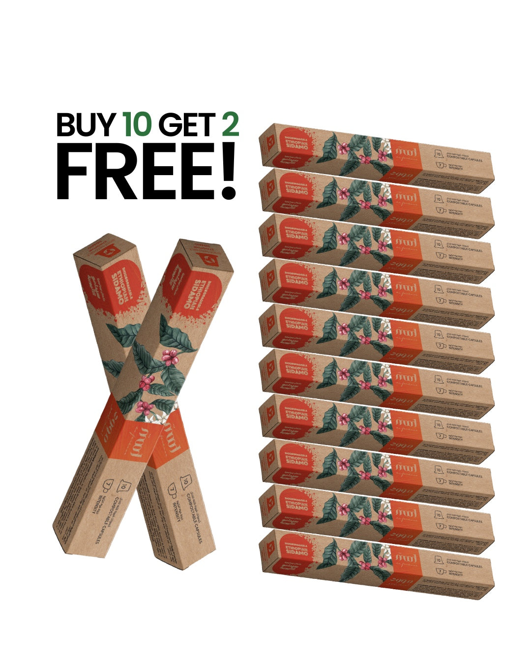 10+2 Free: Biodegradable Ethiopian Sidamo – Single Origin, 100% Arabica, Nespresso Compatible Capsules