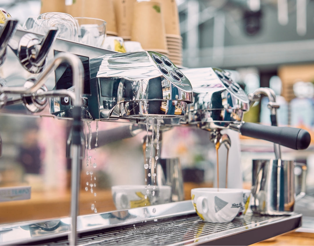 Victoria Arduino Eagle Tempo: Brewing groups close-up